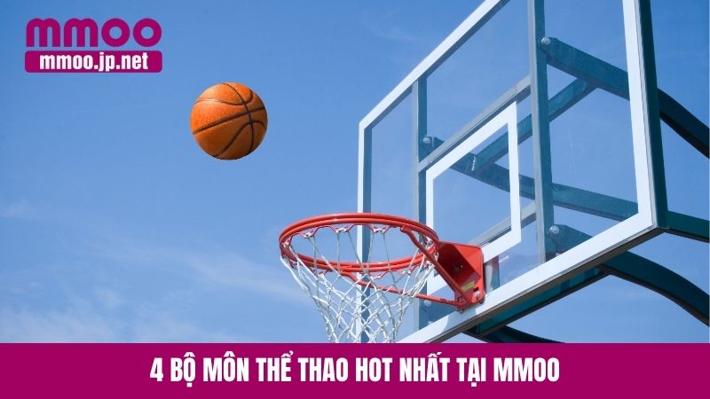 4 bộ môn thể thao hot nhất tại MMOO