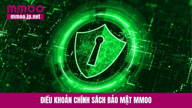 Điều khoản chính sách bảo mật MMOO