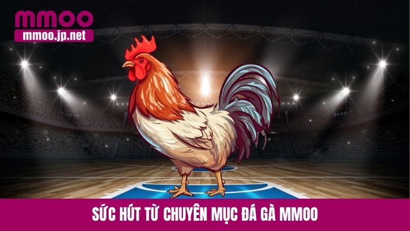 Sức hút từ chuyên mục đá gà MMOO